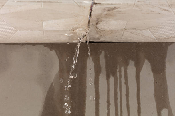 Professional Structural Drying technician working in Hansville, WA
